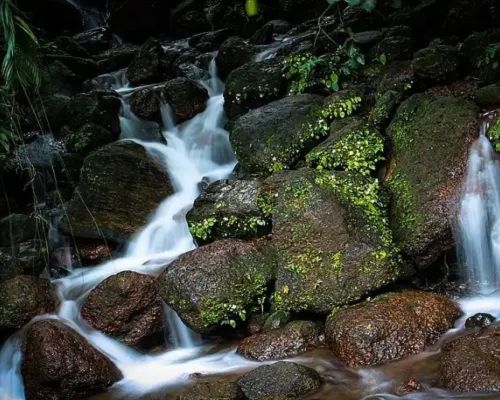 Vaidehi Falls